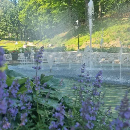 شقة 741 Slate - Zdroj جيدلينا زدروي